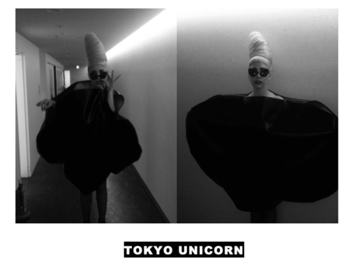 work-it-black-jesus:  These 8 images are from Gaga’s tumblr amenfashion.tumblr.com