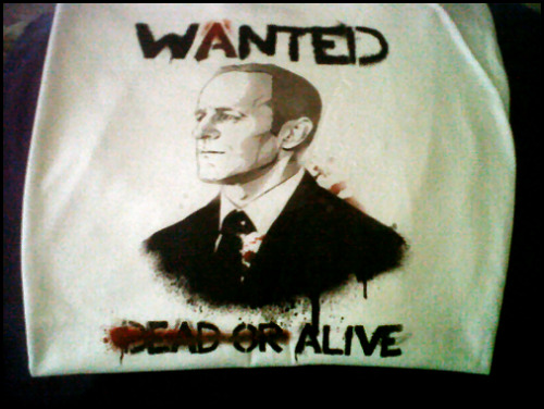 coulsonlivesproject:With much love and many thanks to Agent Erebusodora for the design she provided 