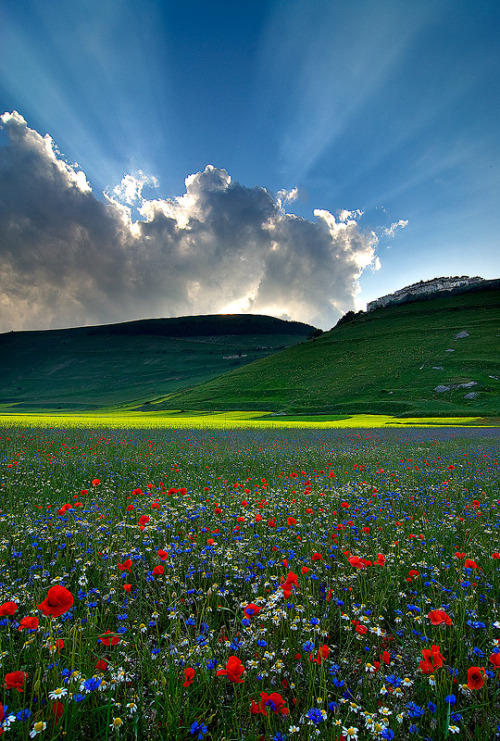 ninbra:Godlight. Castelluccio di Norcia, Umbria, Italy.