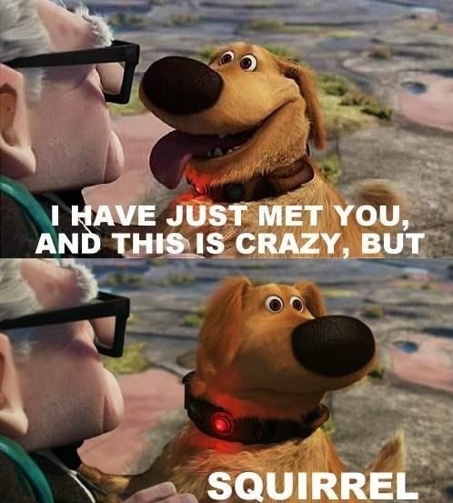 the-absolute-funniest-posts:  Follow this blog, you will love it on your dashboard