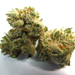 thatsgoodweed:  daytime sativa 