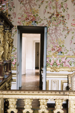 Marie Antoinette’s secret door