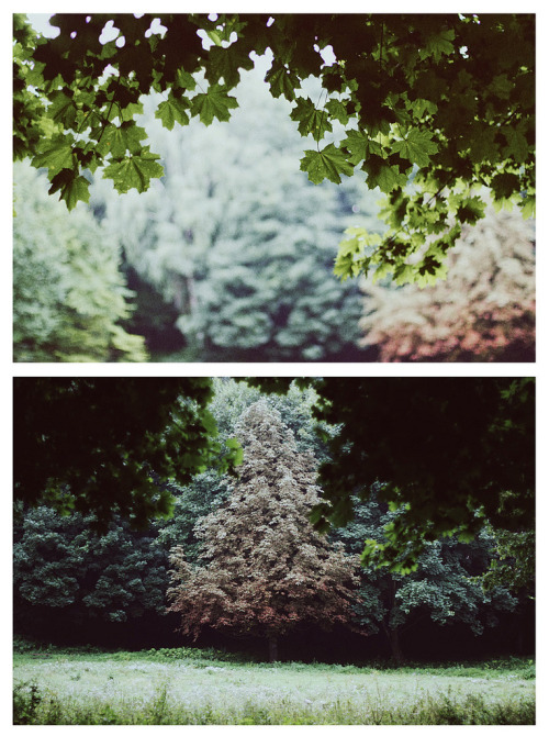 lvrkin.tumblr.com/post/35594538860/