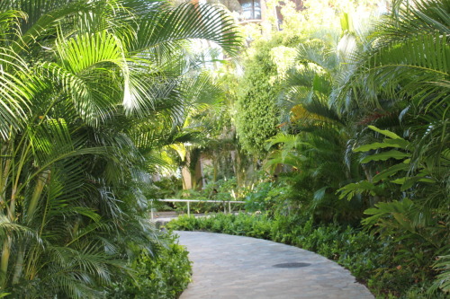 acaivibe: follow me (acaivibe) for a tropical paradise! <3 ♡♡ active jungle blog ♡♡