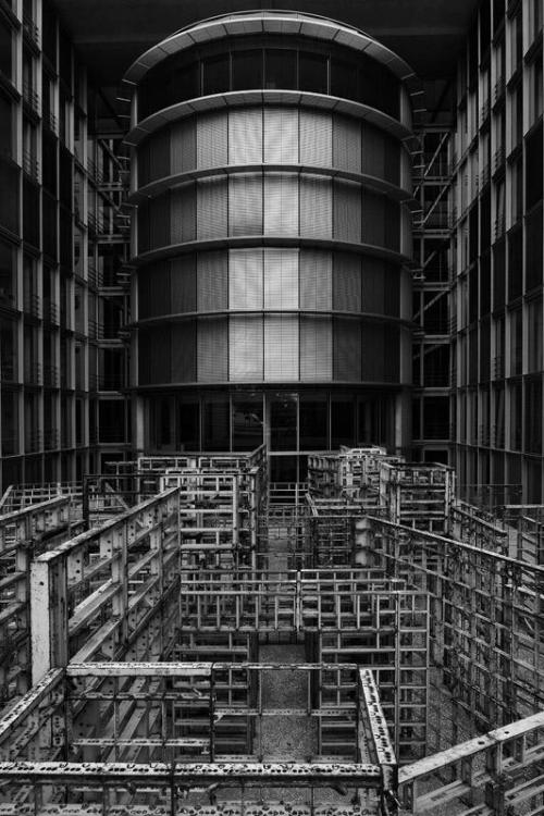 fiore-rosso:  walter caterina.