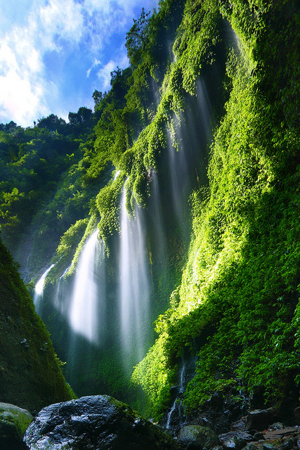 Madakaripura Waterfall in East Java, Indonesia (by Jessy Eykendorp).