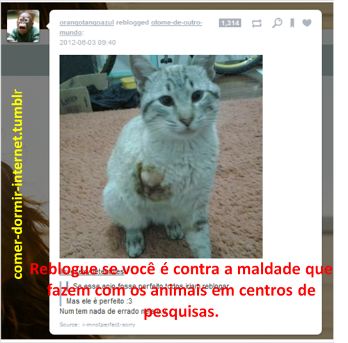 comer-dormir-internet:  Marque quando as metas forem batidas (XX) 10 NOTES (XX)100 NOTES (XX) 500 NOTES (XX) 1000 NOTES (XX) 1500 NOTES (XX) 3000 NOTES (XX) 5000 NOTES (    ) 8000 NOTES (    ) 10.000 NOTES  Forever Reblog 