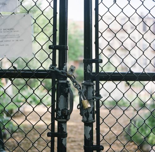 LockedYashica A | Fuji 400hPark Slope, Brooklyn, NY