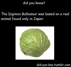 minestuck:  evdeadly1018:  NO NO NO! YOU STUPID YOUNG PEOPLE!There is no DIGIMON named Bulbasaur. there is a POKEMON named bulbasaur, And I’m pretty sure the person who made this picture is DUMB AS SHIT!FUCKSeriously! Stop pretending you were born in