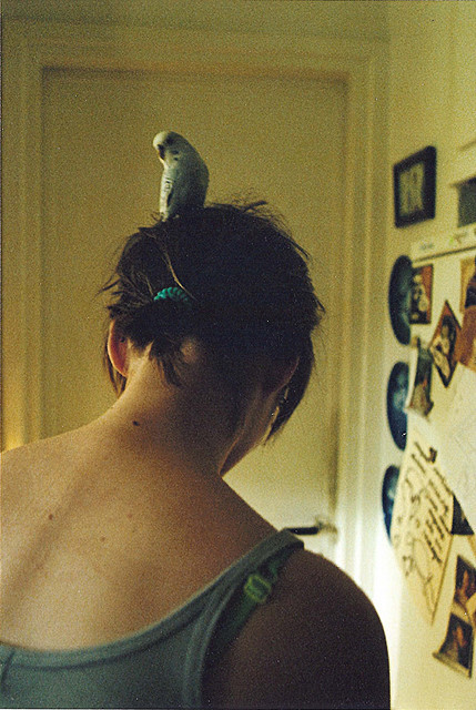 radorium:  untitled by If you are lost. I am found. on Flickr. 
