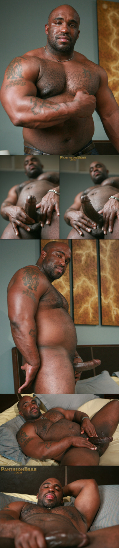 Big black muscle bears