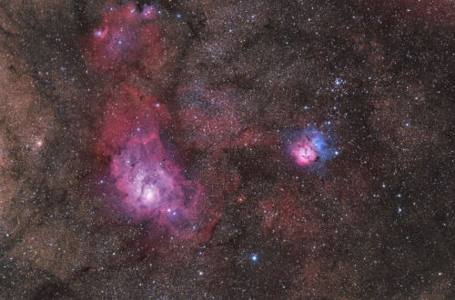 Trifid &amp; Lagoon