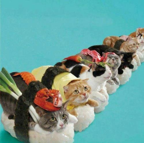 kwangiggs:  I’ve got you a sushi! hehe~