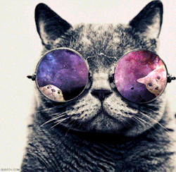 itsbeencrazy:  Follow me and you’ll love your dash. I follow back. 
