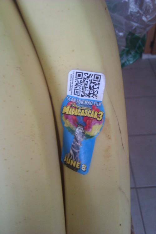 pizzaforpresident:  orbitars:  I WENT DOWNSTAIRS TO GET A BANANA AND I GOT GREETED BY THIS FUCKIN THING THEY’VE TAKEN OVER OUR FOOD SUPPLIES  hmm…     
