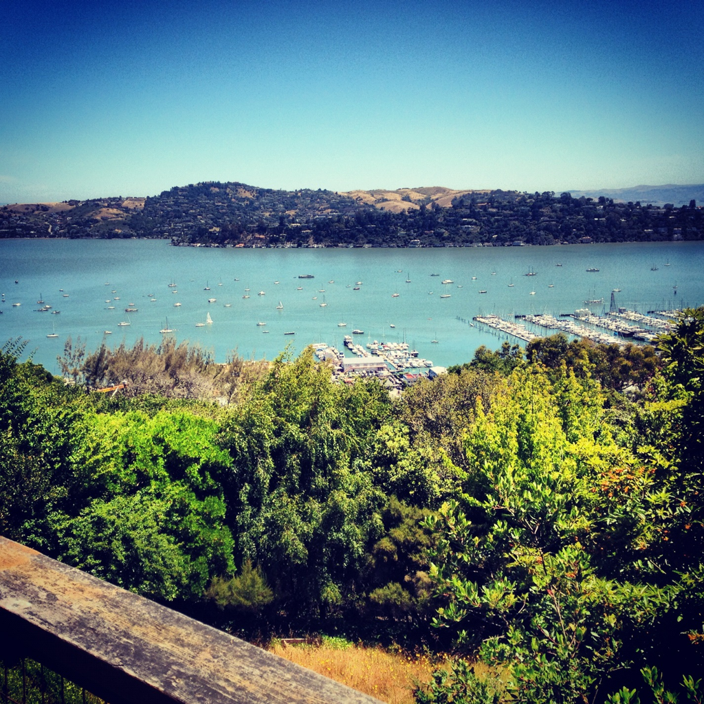 The view from Katherine Bradway&rsquo;s home in Sausalito