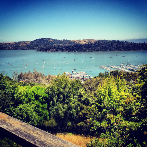 The view from Katherine Bradway’s home in Sausalito