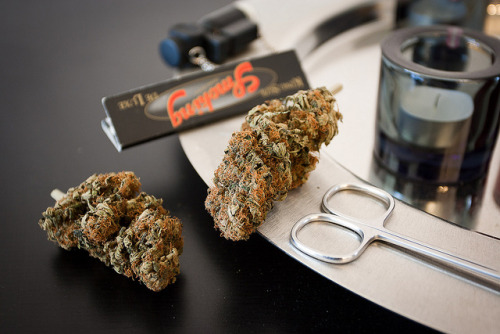 Weedomania