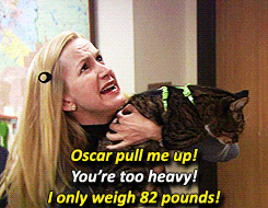 the-absolute-funniest-posts:  Follow this blog, you will love it on your dashboard