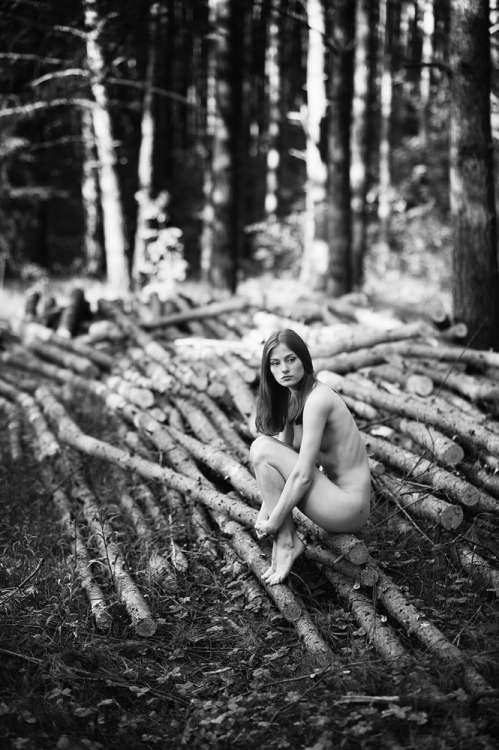 nudepageant:Forest Bw by ~west-kis 