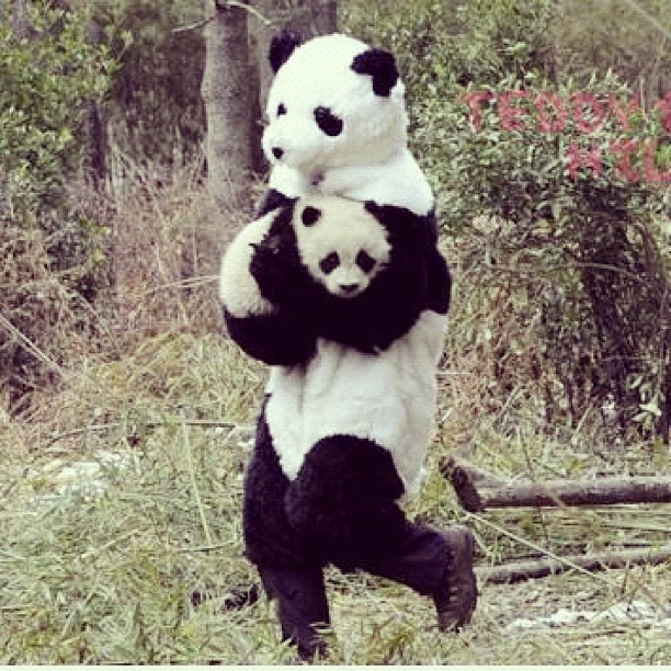 mikowashere:  canyouhearmesnh:  elleeet:  Haha omg!!! (Taken with instagram)  .___________.
