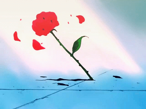 (๑˃̵ᴗ˂̵)و