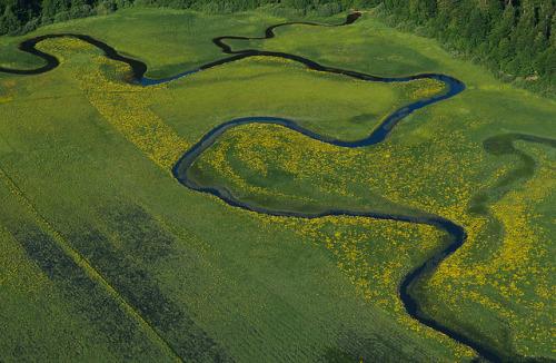 Lake Cerknica, situated above a karst cavern full of sinkholes, potholes and underground tunnels in 