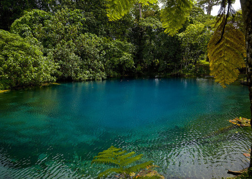 The Blue Hole in Santo island, Vanuatu (by Eric Lafforgue).