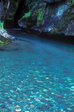 Mer-De:  Avalanche Creek Flows Over Colorful Rocks, Trail Of The Cedars, Glacier