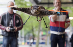 discoverynews:  nationalpost:  Orvillecopter