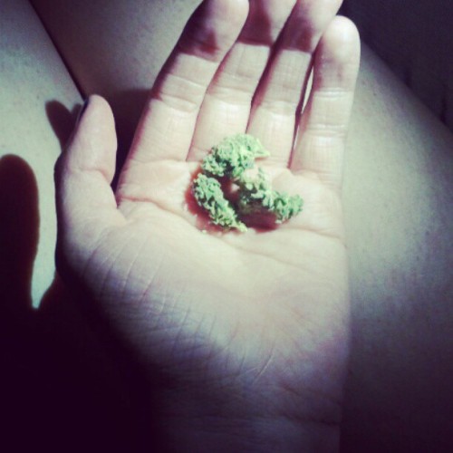 Thanks alec <3  (Taken with instagram)