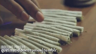 Reggae sua vida com amor.