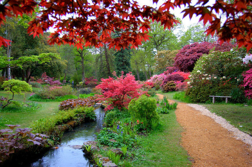 Rain makes everything a bit brighter, Exbury Gardens, Hampshire, England (by CTPEKO3A).