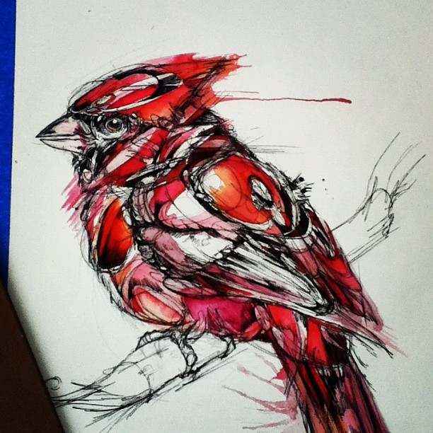 cardinal drawing tattoo