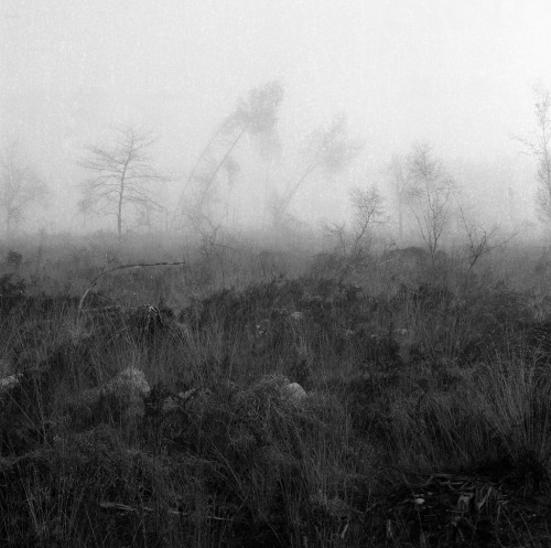 Sylvain Soulard, Mist V, 2014Zenza Bronica EC-TL / Nikkor 75mm f2,8 / Rollei RPX400