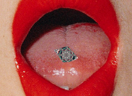 wtfselena.tumblr.com/post/24454192156/