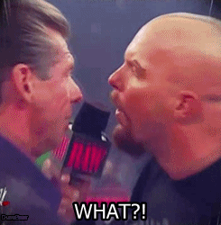 dusubear-deactivated20140831:  Stone Cold Steve Austin:Crowd Chant - WHAT?! 