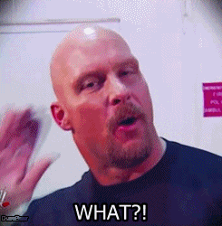 dusubear-deactivated20140831:  Stone Cold Steve Austin:Crowd Chant - WHAT?! 