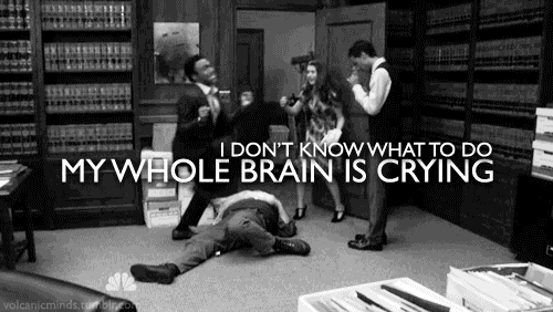 The 5th GIF in your folder is your reaction to your first born child.