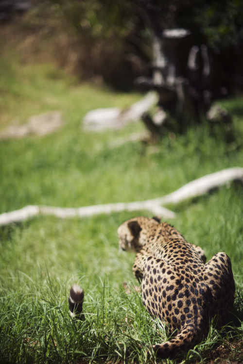kevvn-deactivated20141201:  (by weaverglenn) 