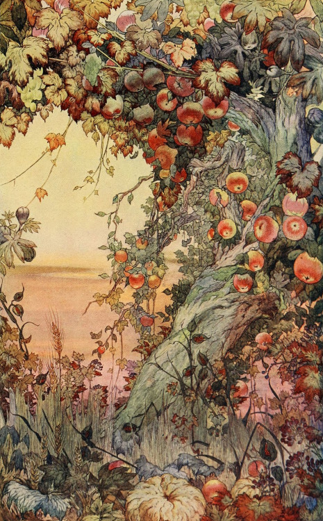 crookedhalo4me:Wild Apples…‘The Fruits of the Earth’ (1911) watercolor by Edward J. DetmoldPublished