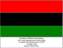 guiltywhiteguy:  I pledge my allegiance.   I am completely dedicated to the Black Supremacy cause and the subjugation of whites.  