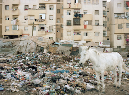 hellohaters: momentum (13) (by marek.wykowski) In the suburbs of Casablanca