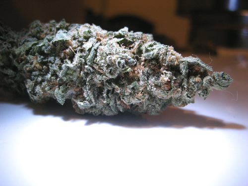 justgethigh420:  Alaskan thunderfuck.  The atf