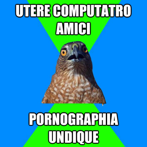 Utere computatro amiciPornographia undiqueUse friends computerPorn everywhere