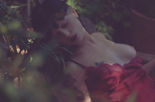 con-leche:  Echo Nittolitto (con leche) 