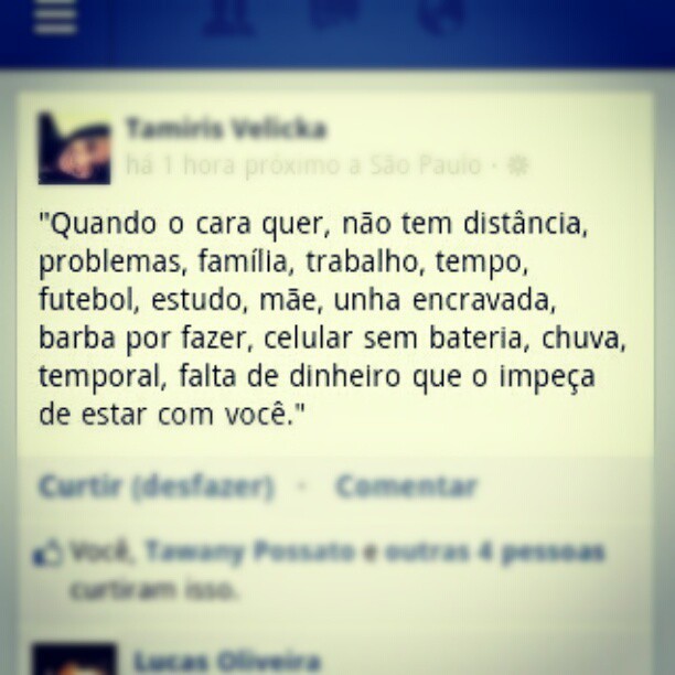 Palavras ao Vento.