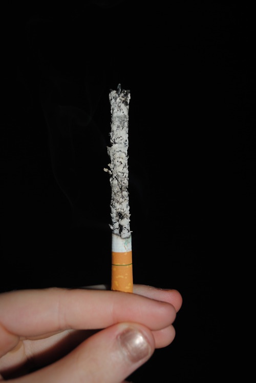 crystallcllear:  © paci-fists : i follow back
