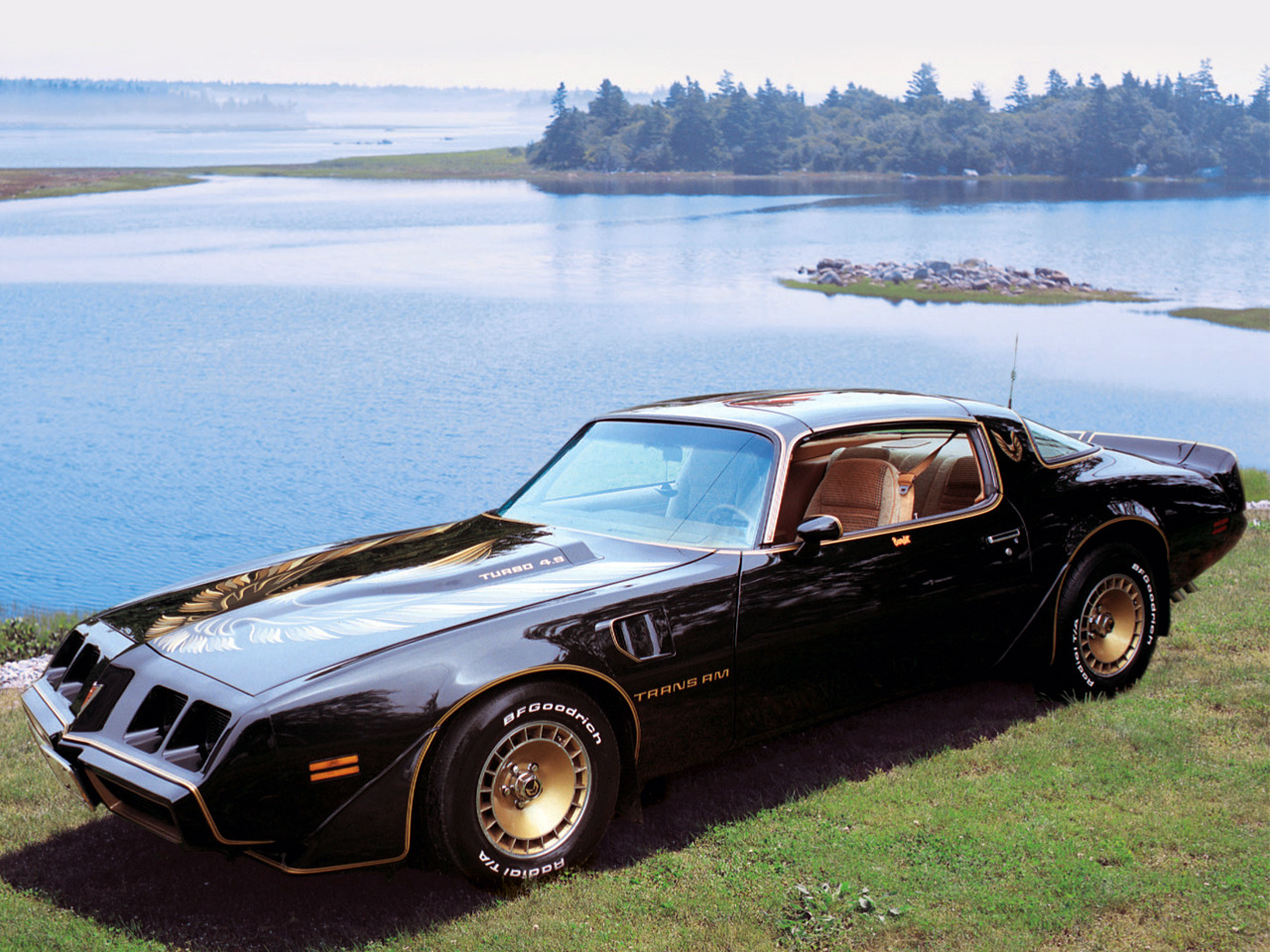 masterpiston:  1979 Pontiac Firebird Trans Am.