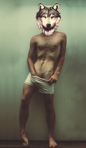 Brett Charles Seiler